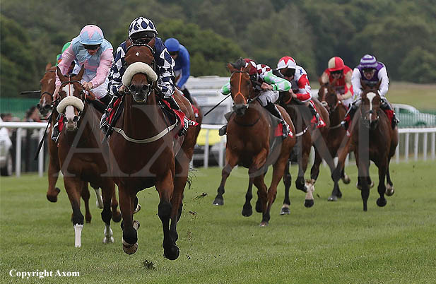 Diescentric winning at Newcastle - 29 June 2013